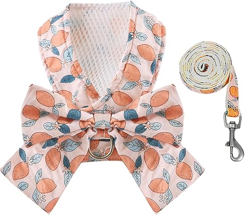 Miniatura 1 de BAEJMJK Juego de arnés y correa para perro con nudo de lazo, arnés floral para mascotas con anillo en D, juego de arnés de malla suave para perro,