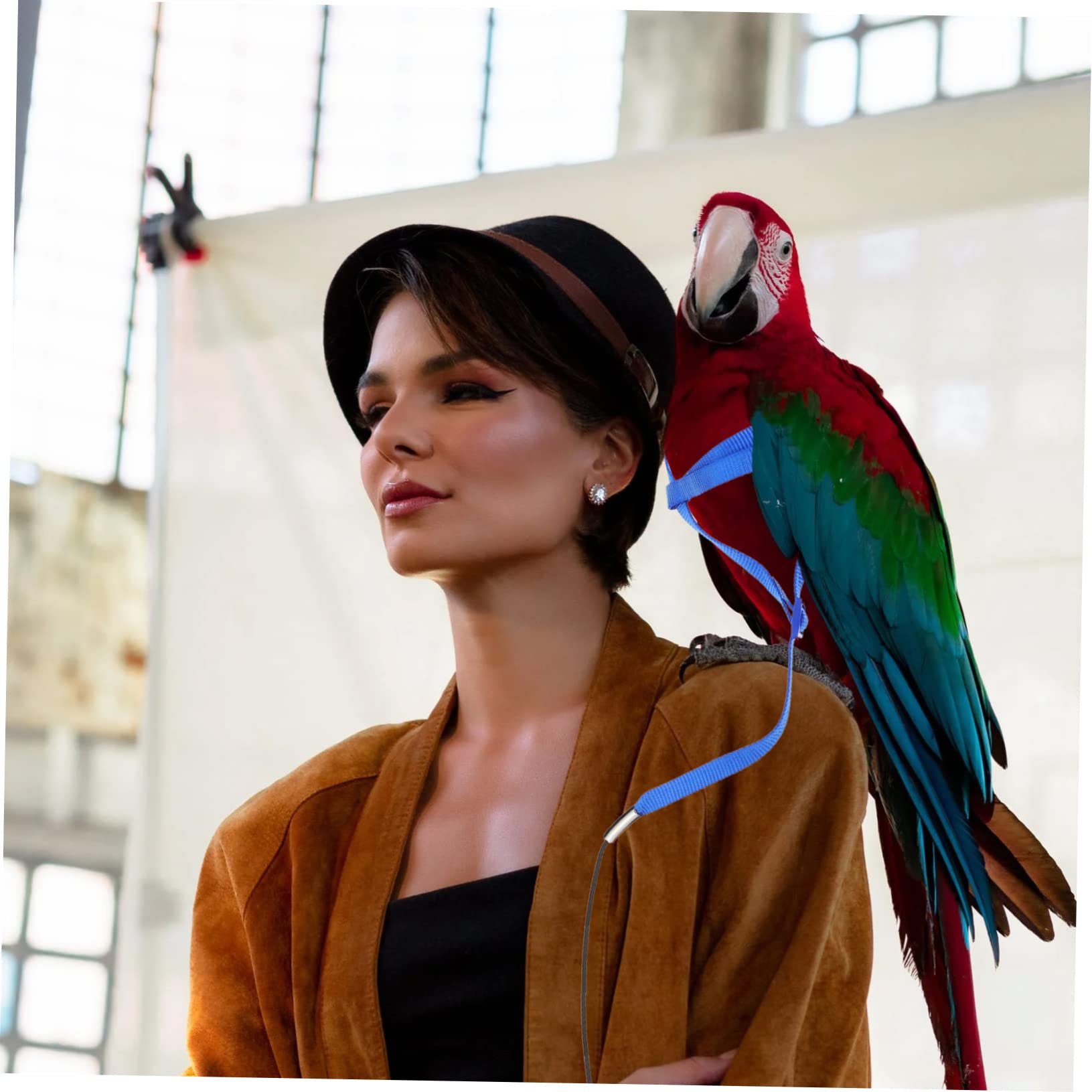 Angoily 12piezas Cuerda De Vuelo para Aves Ajustable Arnés y Correa para Entrenamiento De Periquitos y Loros para Salidas Al Aire y Seguridad del Mascota
