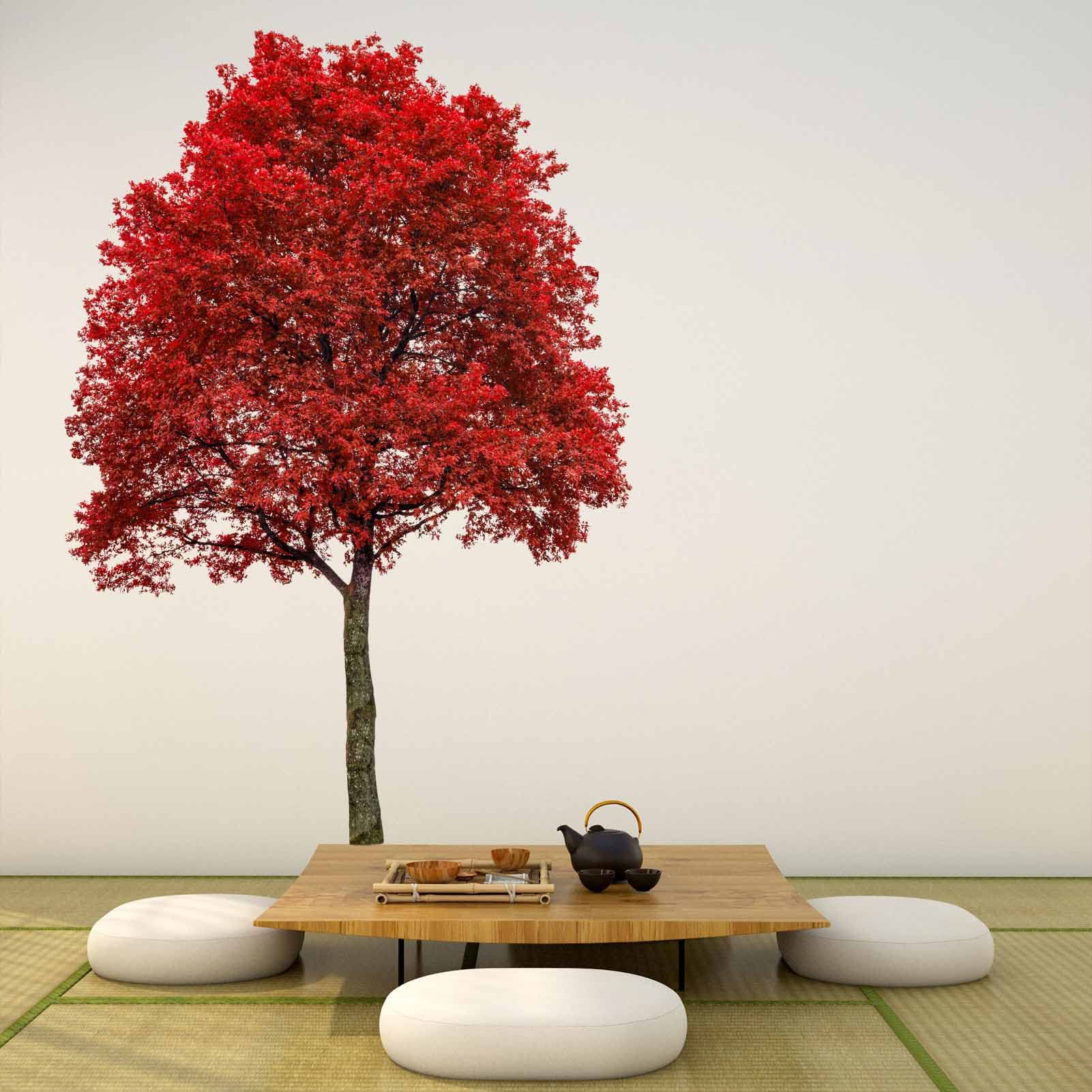 Large Red Oak Tree Wall Stickers - Nature Plant Tree Leaves Bedroom Living Room Wall Decals - Home Sofa Backdrop TV Family Wall Decor (XL, H: 60 Inches)