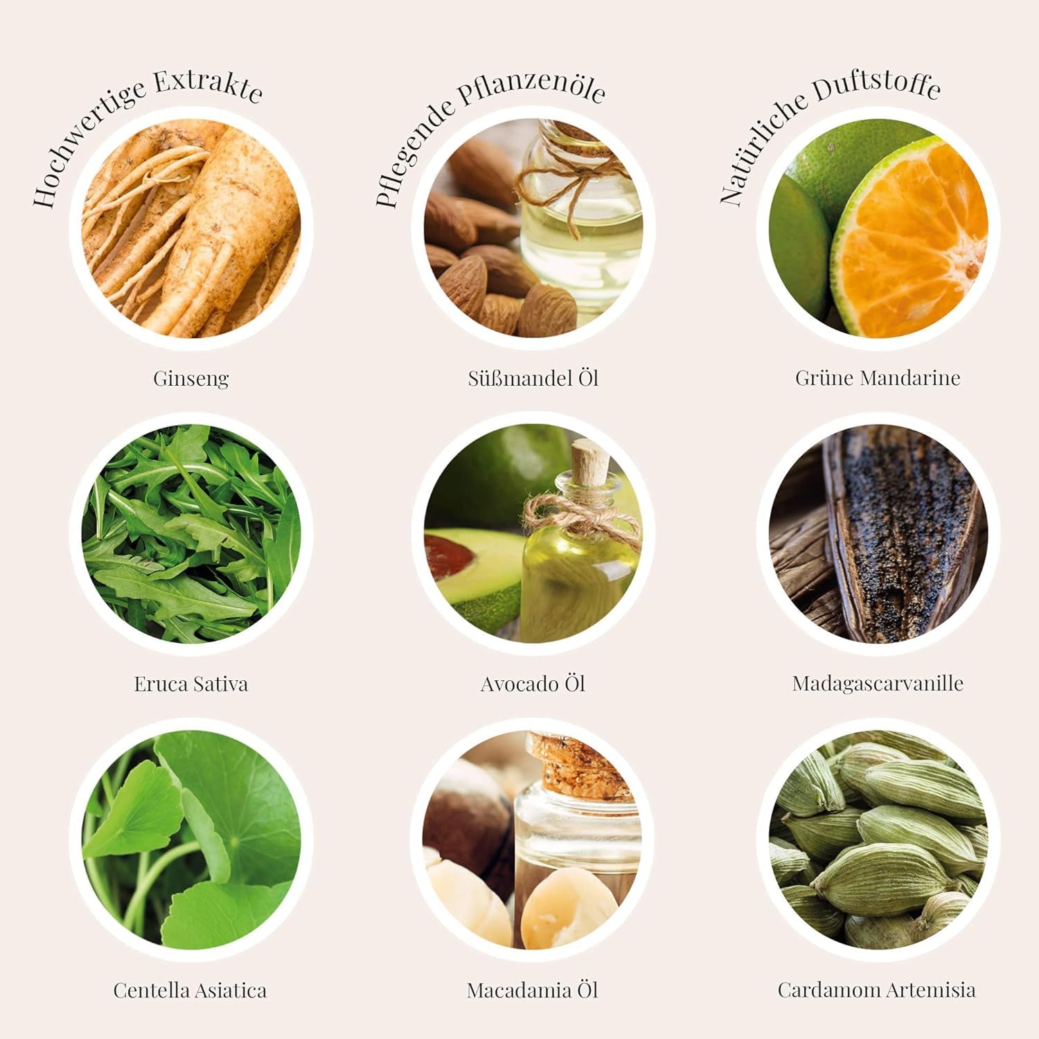 Prija Jabón líquido con ginseng 10 botellas de 380 ml, jabón revitalizante, Wellness Spa Hotel Italia