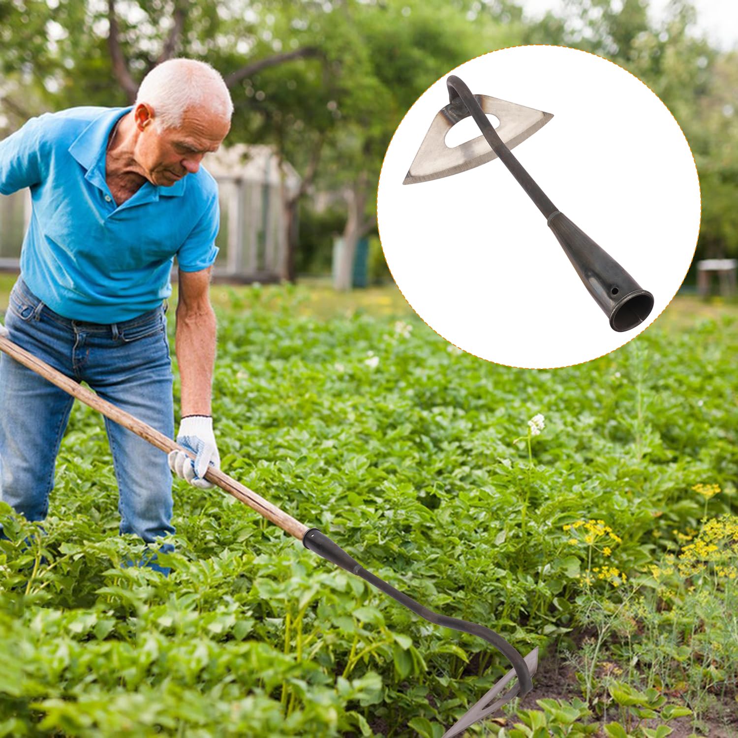 Zappa Manuale Da Giardino In Acciaio Inox - Attrezzo Per Scavare, Zappare E Diserbo - Manico In Legno Di Faggio, Leggera E Robusta