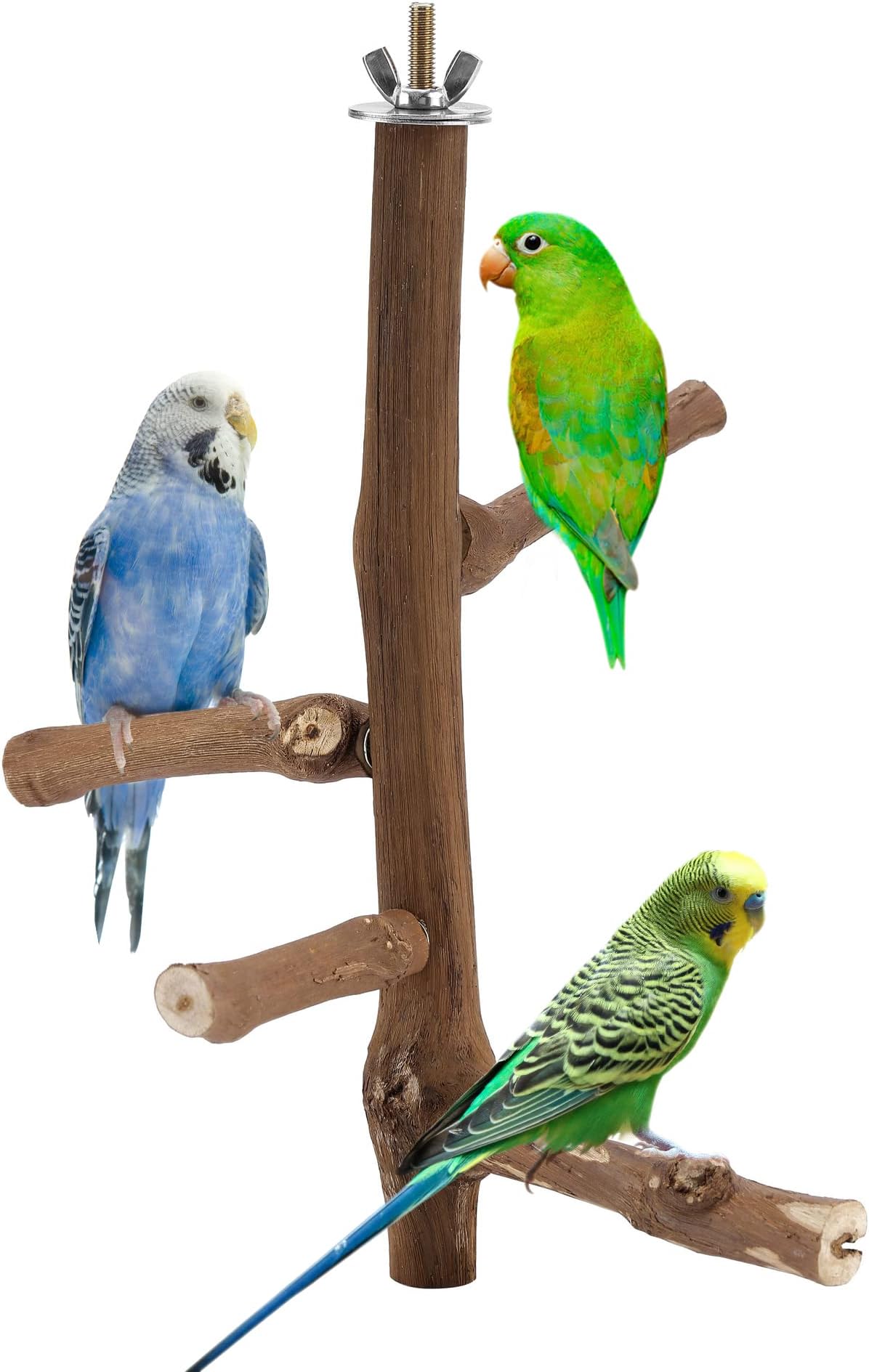 Mogoko Natural Wood Bird Perches Parrot Perch Grapevine
