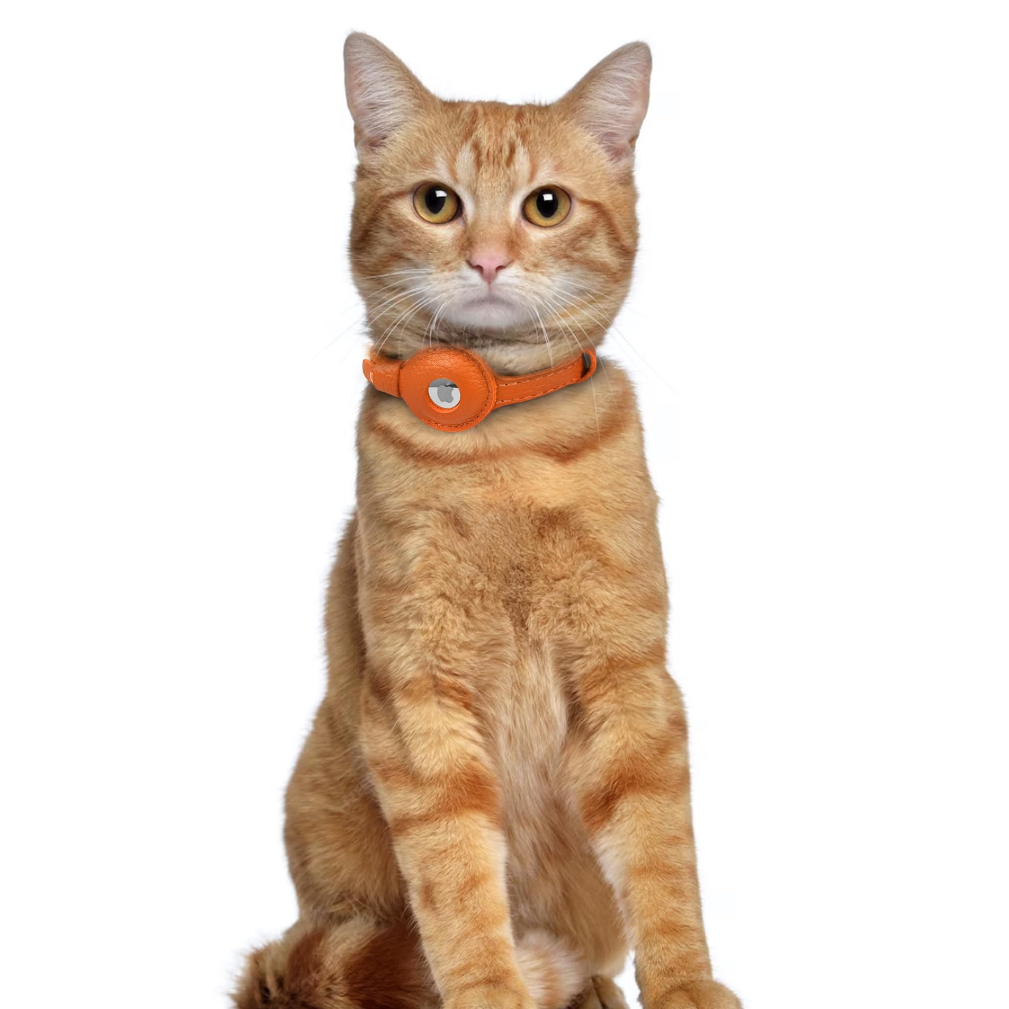 OOPSDOGGY - Collar de piel con cascabel y soporte Apple AirTag, ligero, sin sistema de liberación rápida, para gatos, perros pequeños y cachorros (naranja).
