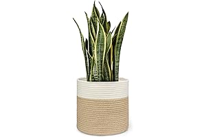 Dahey Wicker Planters for Indoor Plants