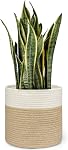 Dahey Small Cotton Rope Plant Basket Woven Plant Coiled Basket for Up to 7" Planter, Decorative Flower Pot Cover Closet Storage Bin Table Desk Organizer for Home Decor, Beige