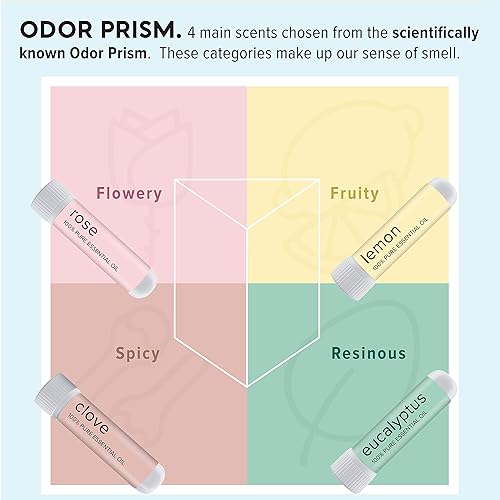 Miniatura 3 de MOX Kit de entrenamiento de olores fabricado en Estados Unidos 4 aceites esenciales regeneración olfativa ayuda a restaurar el sentido del olor