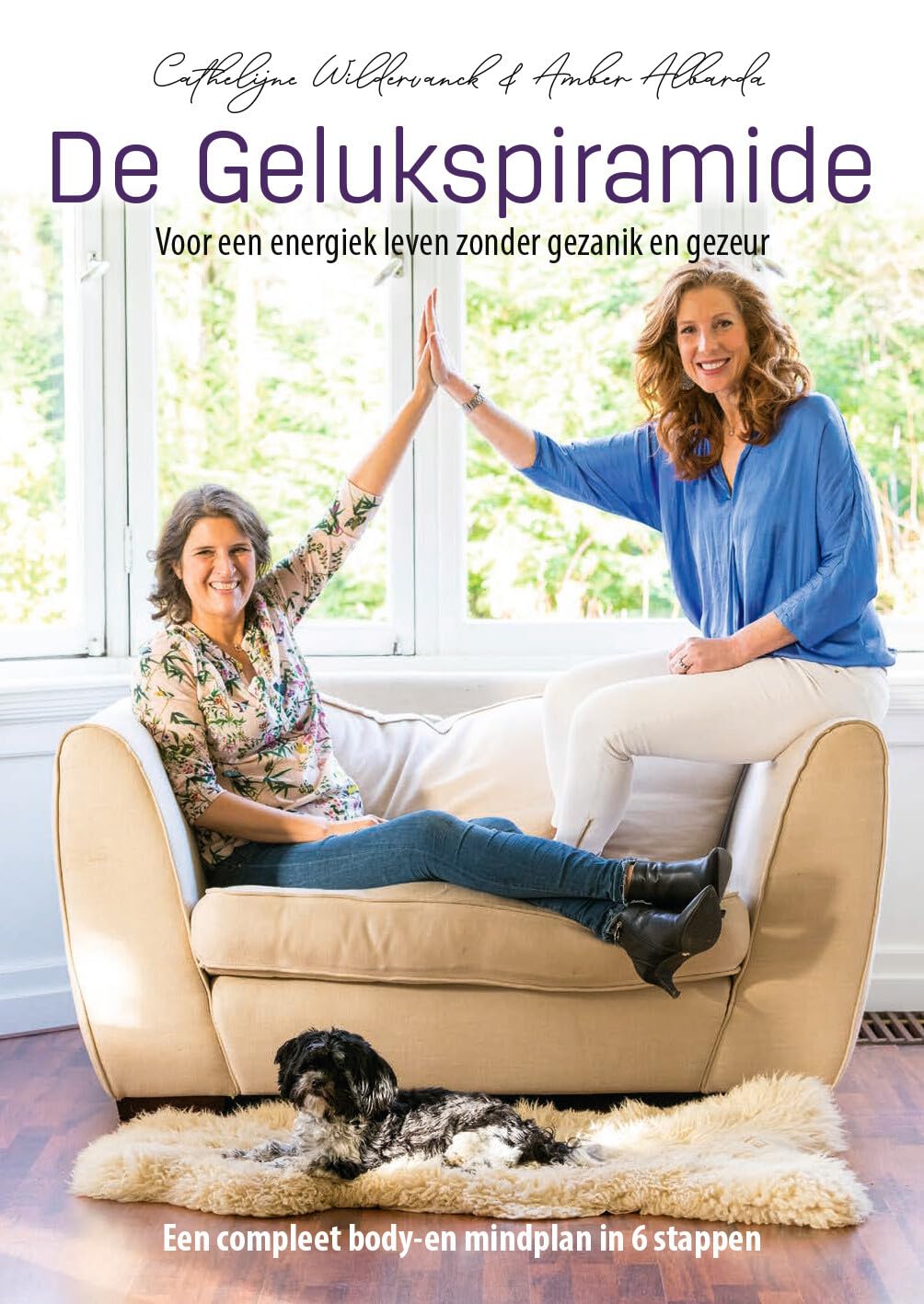De gelukspiramide: voor een energiek leven zonder gezanik en gezeur : een compleet body- en mindplan in 6 stappen