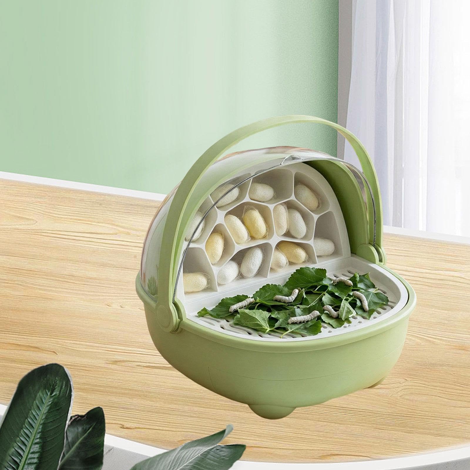 Milageto Boîte d'élevage pour bébés vers à Soie, Cage avec poignée, incassable, pour Reptiles, Contenant d'élevage, Vert