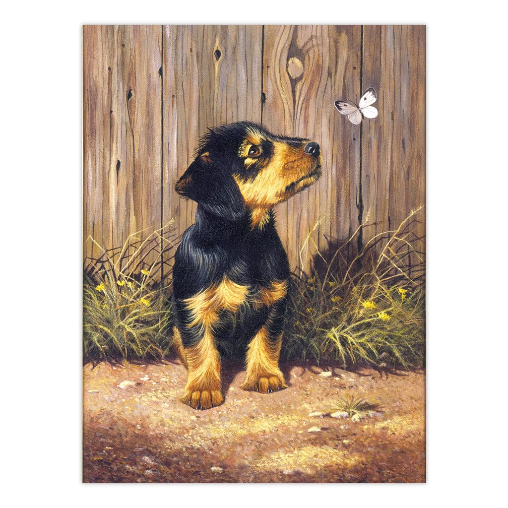 Royal & Langnickel AVS-102 Art Adventure Set, Multi-colored - Image 2
