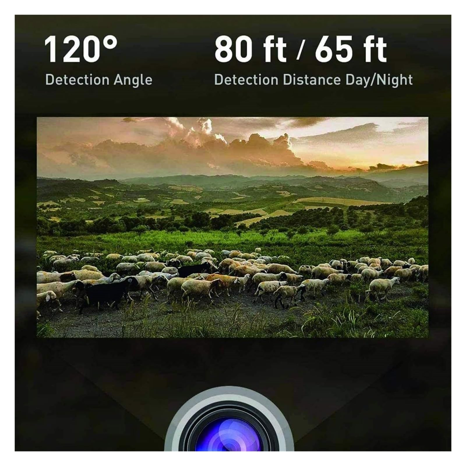 Outdoor HD4K A Raggi Infrarossi Low Glow Arction Macchina Fotografica 48MP Mini Trail Gioco Di Visione Notturna IP66 Impermeabile Caccia Della Fauna Selvatica Trappola Cam Immagini E Video Nitidi