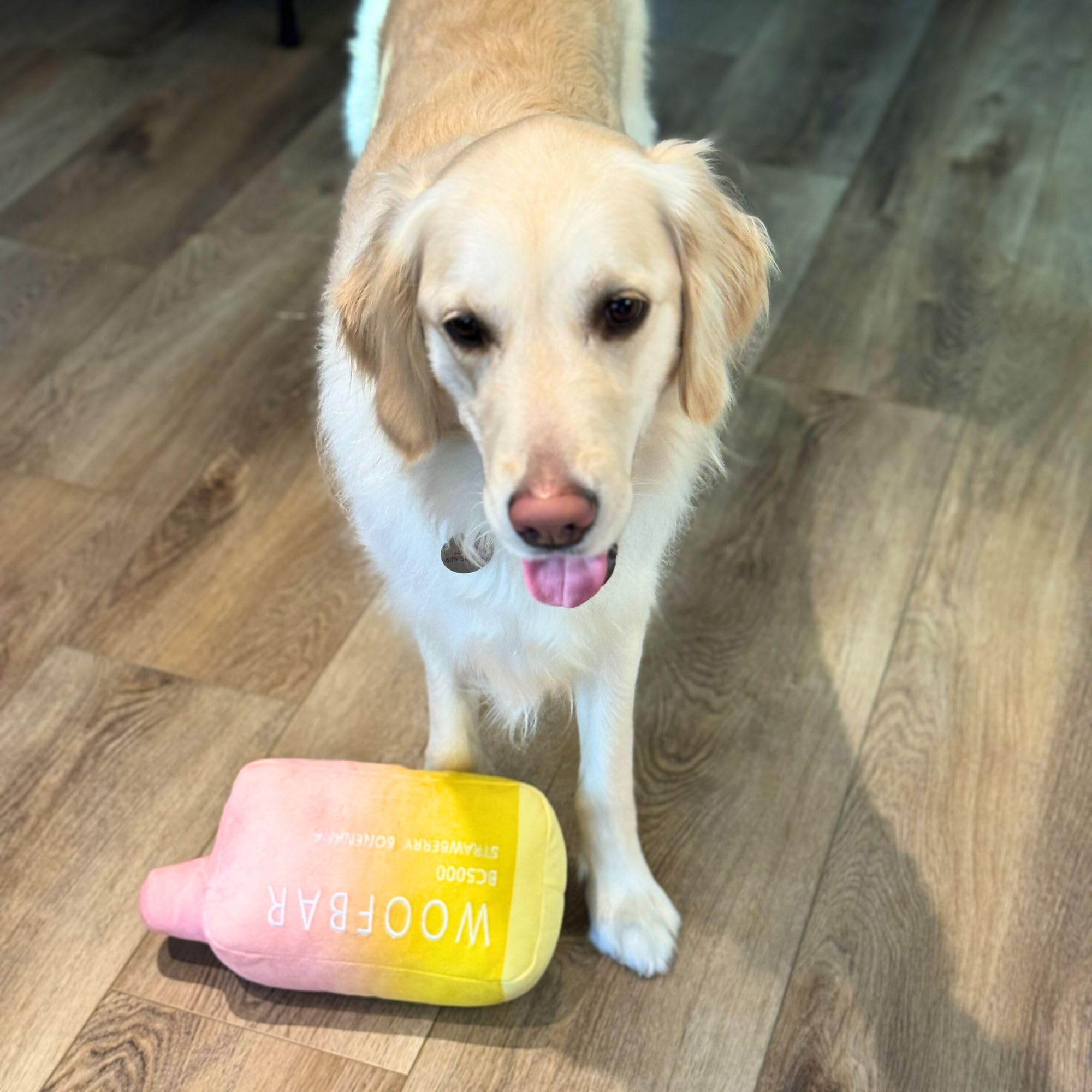 Woof Bar Plush Dog Toy - Funny Dog Toy - Vape Plush Toy - Plush Toy for  Large Dogs: Buy Online at Best Price in UAE