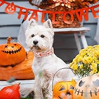 Vista 159 de Unique Style Paws - Collar rosa con hebilla de metal, duradero y lindo para perros pequeños a grandes