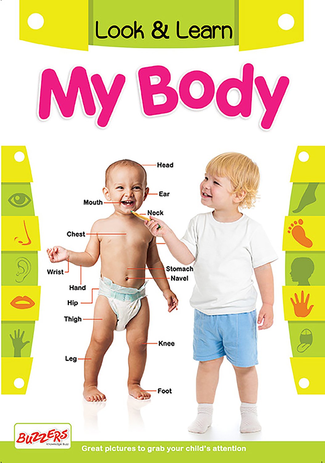 Buy Look & Learn : My Body Book Online at Low Prices in India  