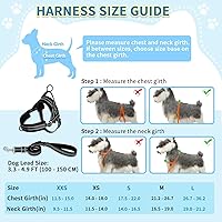 Vista 5 de SlowTon - Juego de arnés y correa para perros pequeños sin tirones, arnés suave ajustable para cachorros en el cuello y el pecho, arnés reflectante