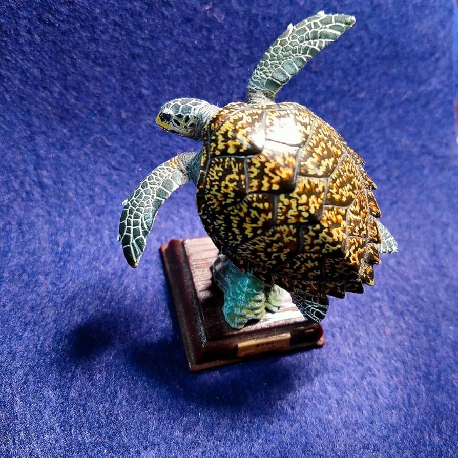 Amazon.co.jp: ネイチャーテクニカラー タイマイ 日本のかめ 亀