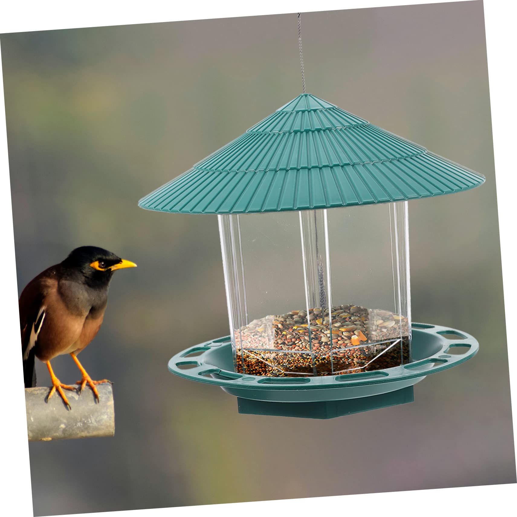 Toddmomy Hängender Vogelfutterspender Für Draußen Vogelfutterspender Für Garten Papageien-hängefutterspender Vogelfutterbehälter Mit Guter Verarbeitung Und Material