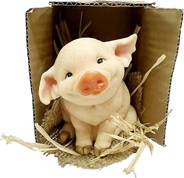 Natures Mark 5.1" H Adorable Sitting Piglet Figurine in Cardboard Box Display Whimsical Farm Animal Statue for Home Decor, Shelf Sitter, or Gift