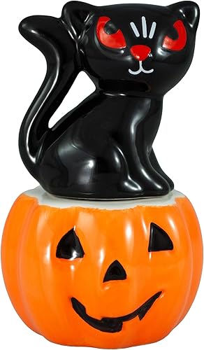 Black Cat On Pumpkin Jack O'Lantern - Juego de salero y pimienta de Hannah's Handiworks, adorable accesorio de cocina, función de centro de mesa,