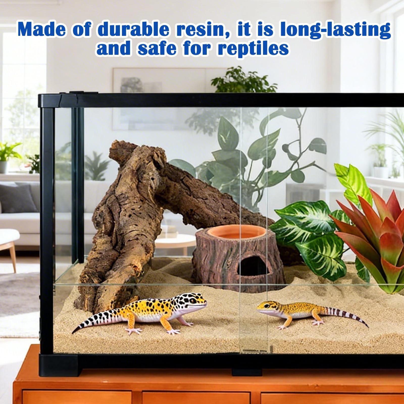 Reptiles 3 en 1 Cueva Ocultar Reptiles Protección: Cueva de reptiles, accesorios de terrario, anfibios escondite con hidratante, para gecko, lagartos, dragón barba, 16,2 × 15,2 × 1,5 cm