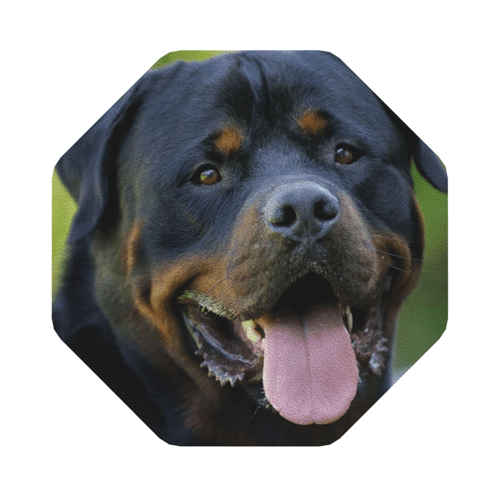 rottweiler wallpaper PU Leather Coasters Set of 6 Octagon Drink Coasters