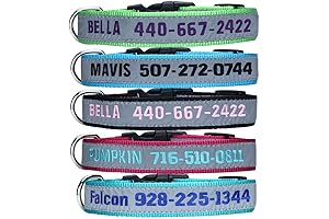 Personalized Reflective ID Collar Embroidered with Your Dog's Name