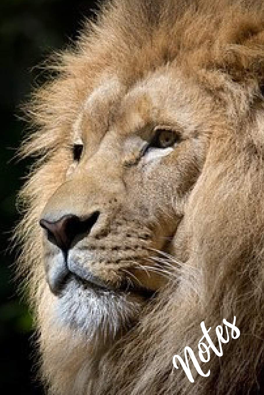 Lion Notebook: unique lions gift for animal and big cat lovers (blank lined notebook) lion journal / notepad for kids / best for writing notes stories ... both boys and girls / journal for journaling