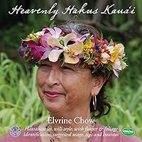 Algopix Similar Product 14 - Heavenly Hakus Kauai Hawaiian lei