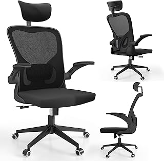Home Office Chair, High Back Ergonomic Desk Chair with Lumbar Support, Breathable Mesh Computer Chair with Adjustable Head...