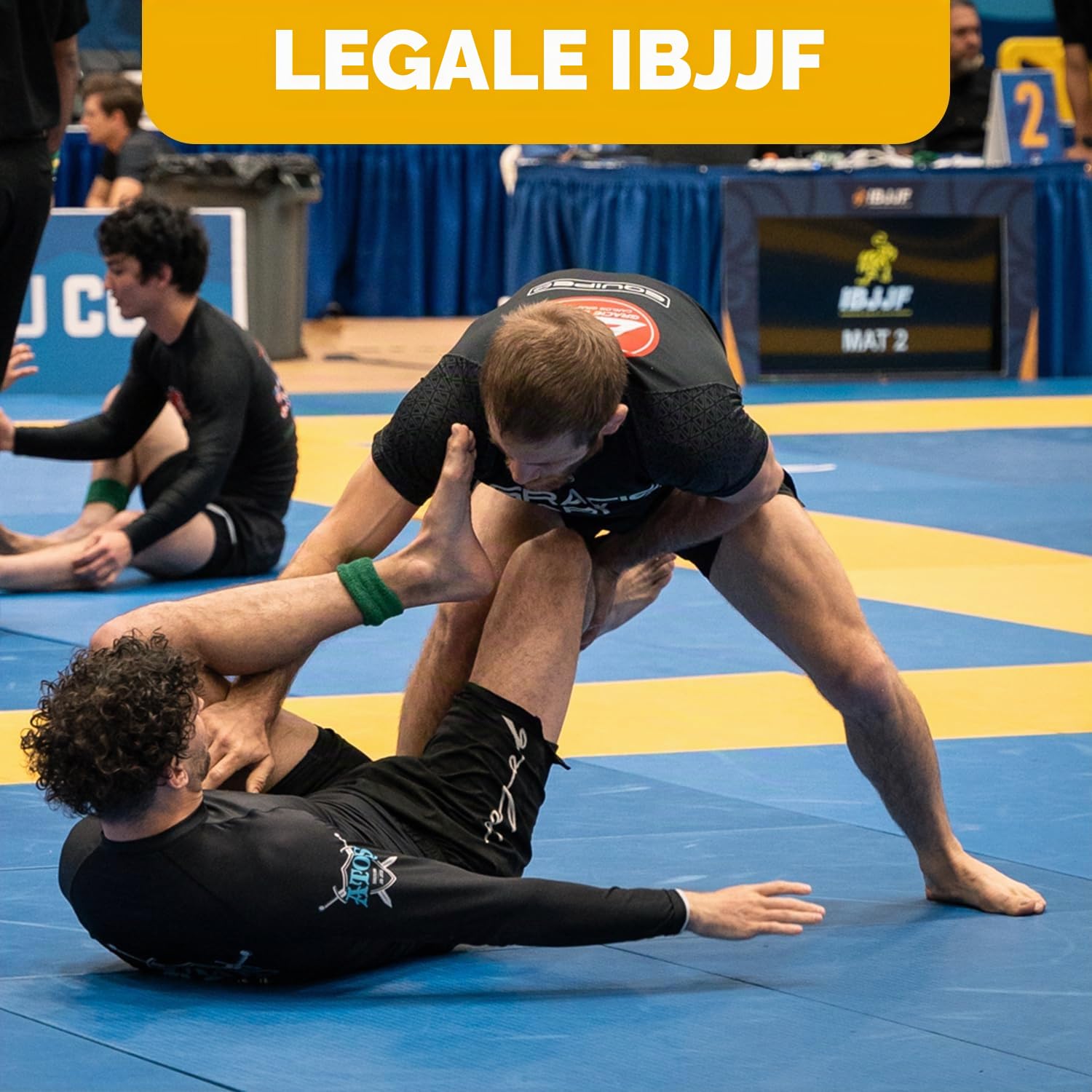 Gold BJJ Pantaloncini da Jiu Jitsu, approvati dall'IBJJF, per Grappling, MMA, Wrestling, Muay Thai e boxe