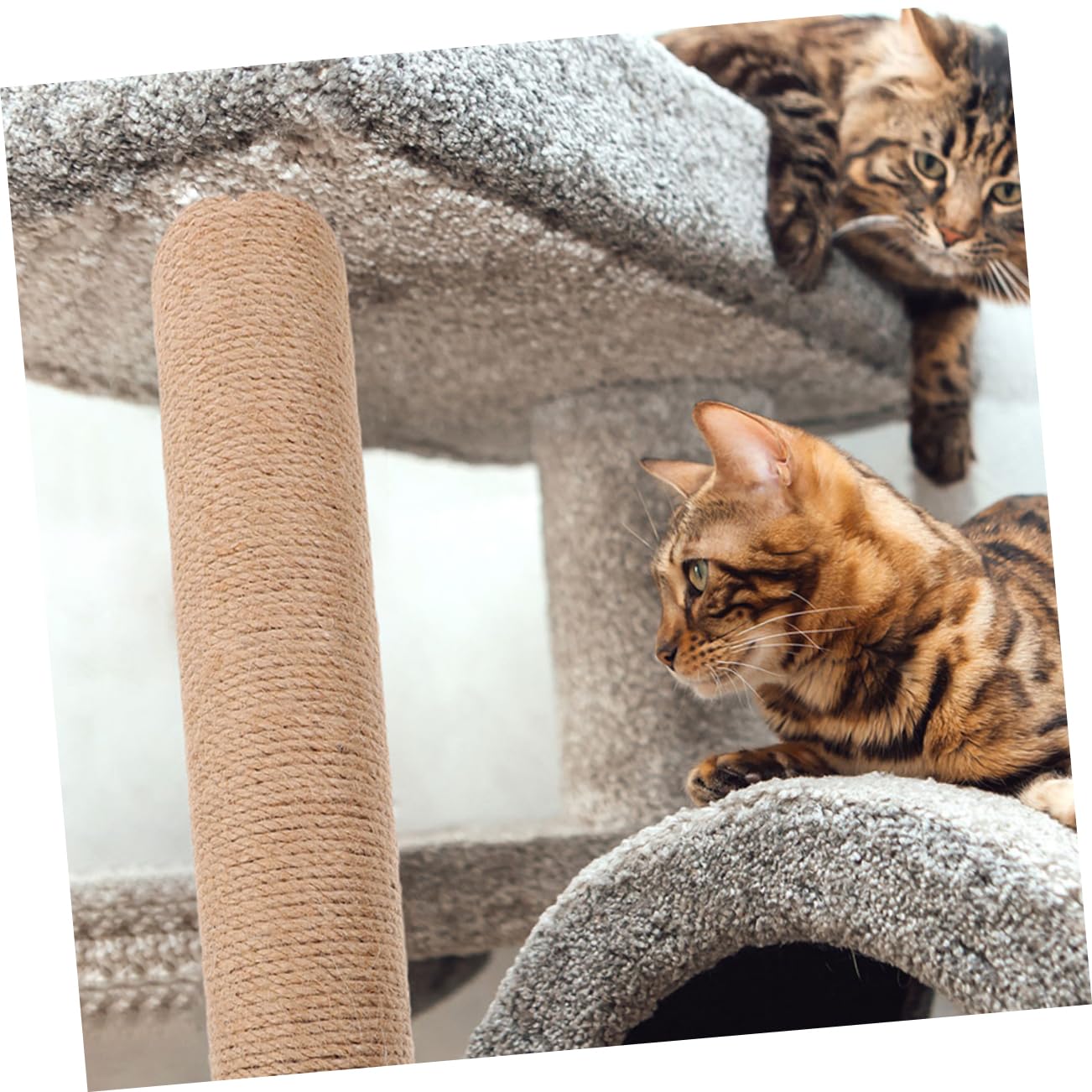 Gatuida Set di 2 Pezzi di Ricambio per Tiragraffi per Gatti Corda di Juta Resistente, Design Verticale per Esercizio e Arrampicata in Appartamenti al Chiuso