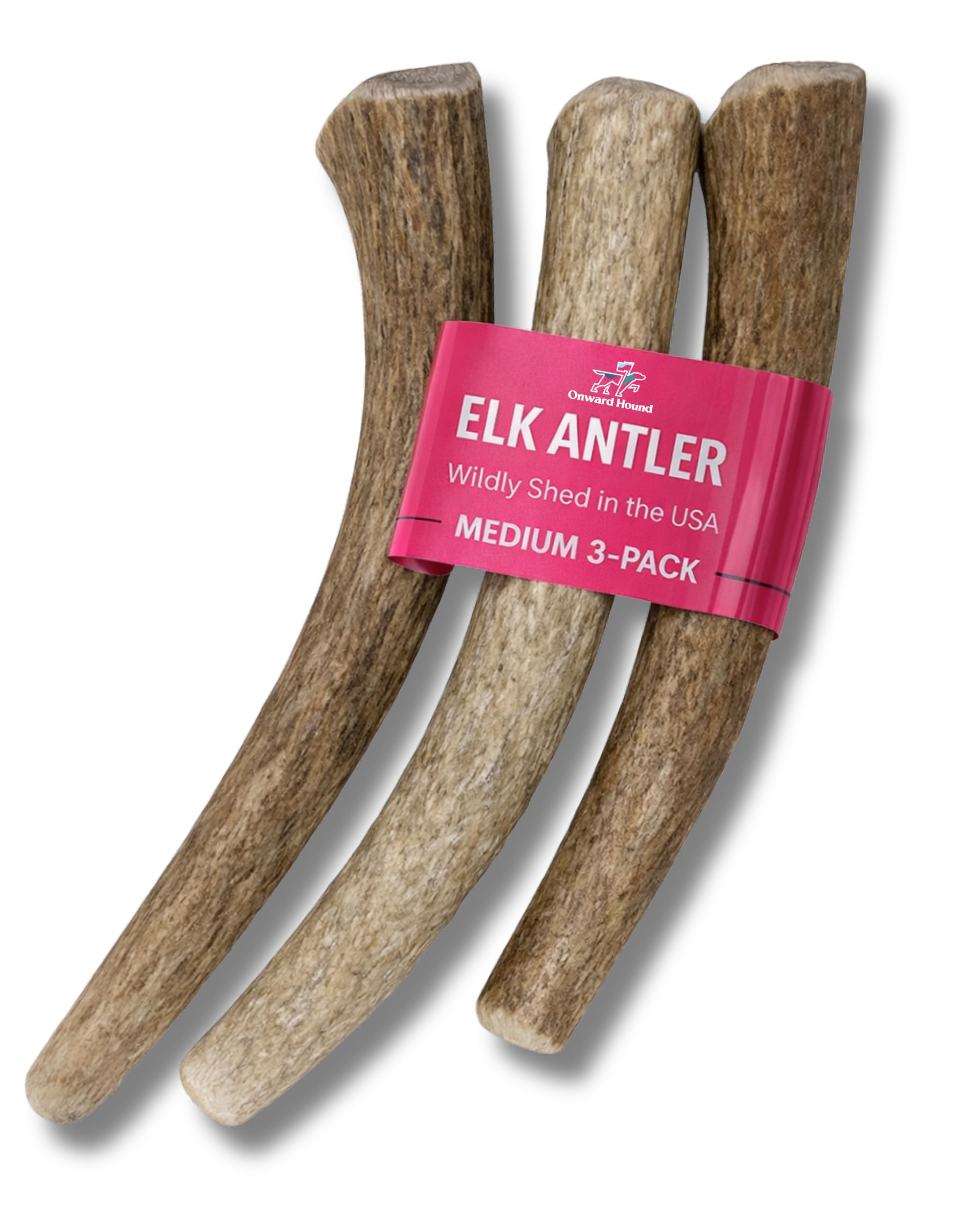 Onward Hound Elk Antlers for Dogs, Whole Medium 6 in+, 3-Pack