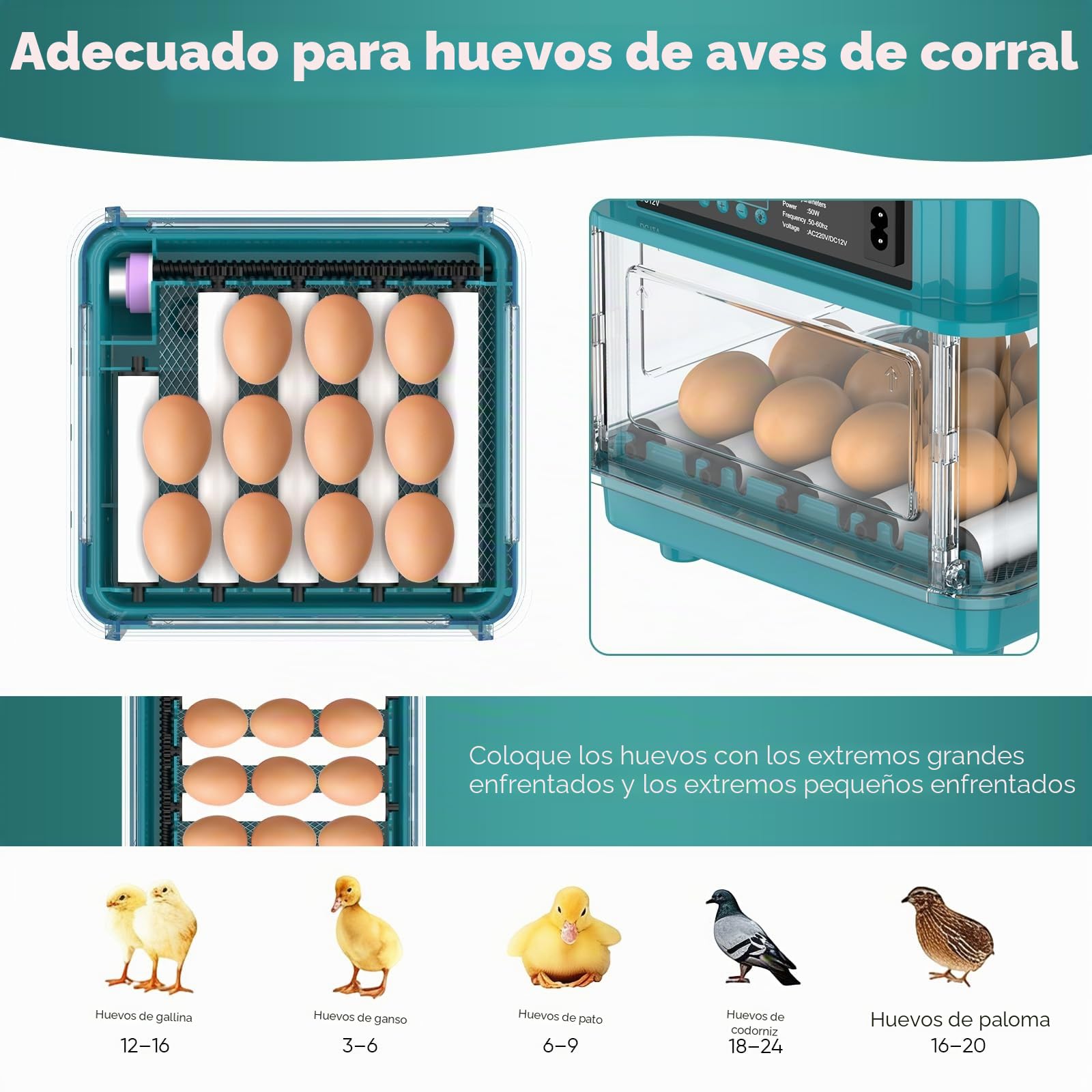 Incubadora totalmente automática, incubadora para 10-36 huevos con rotación automática de huevos y humidificación automática, incubadora con indicador de humedad para pollos, patos, gansos y