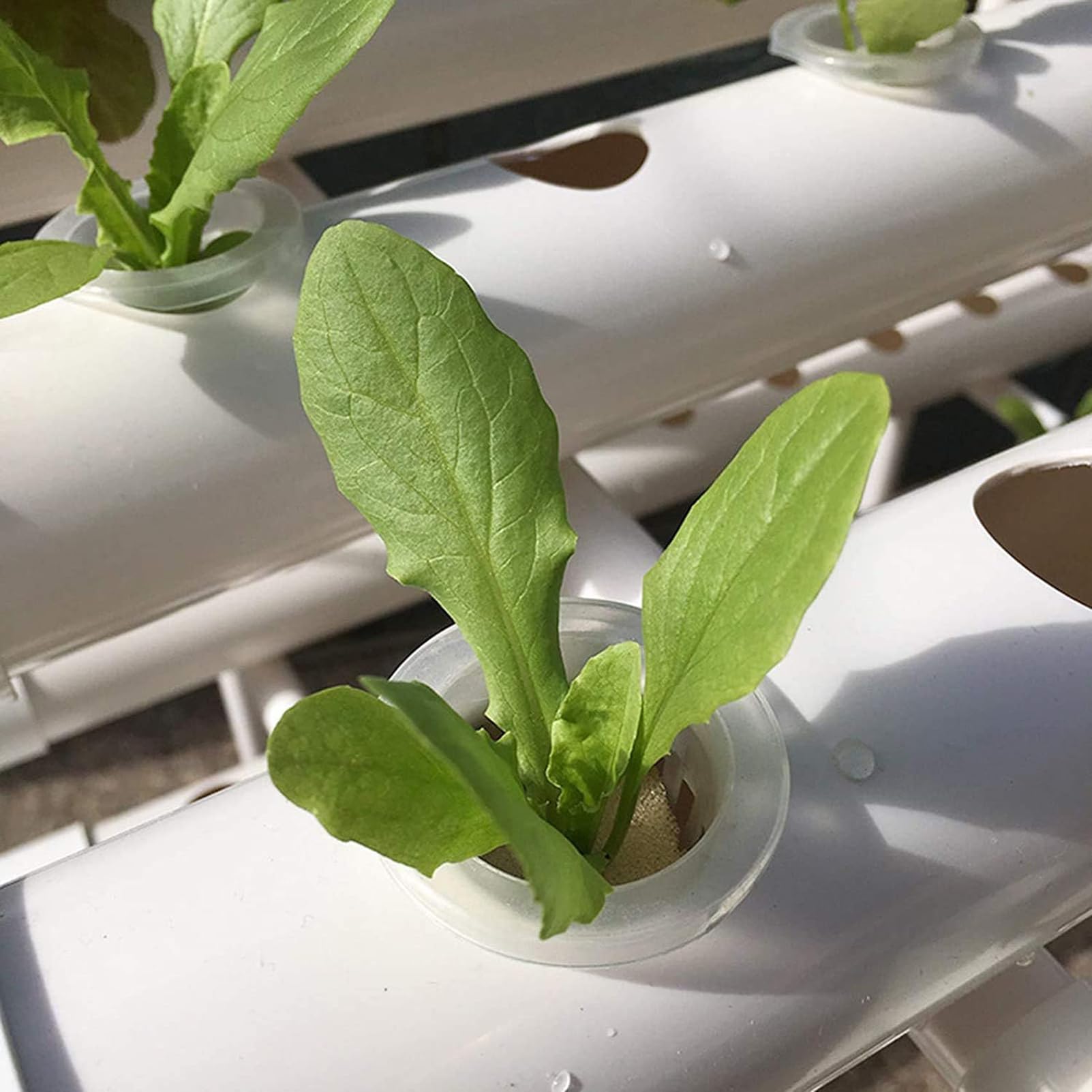 Hydroponic Grow Kit, Wandmontagesystem mit 4 Schichten und 28 Pflanzplätzen, lebensmittelechte Rohre, inklusive Wasserpumpe und Timer für den Anbau von Blattgemüse
