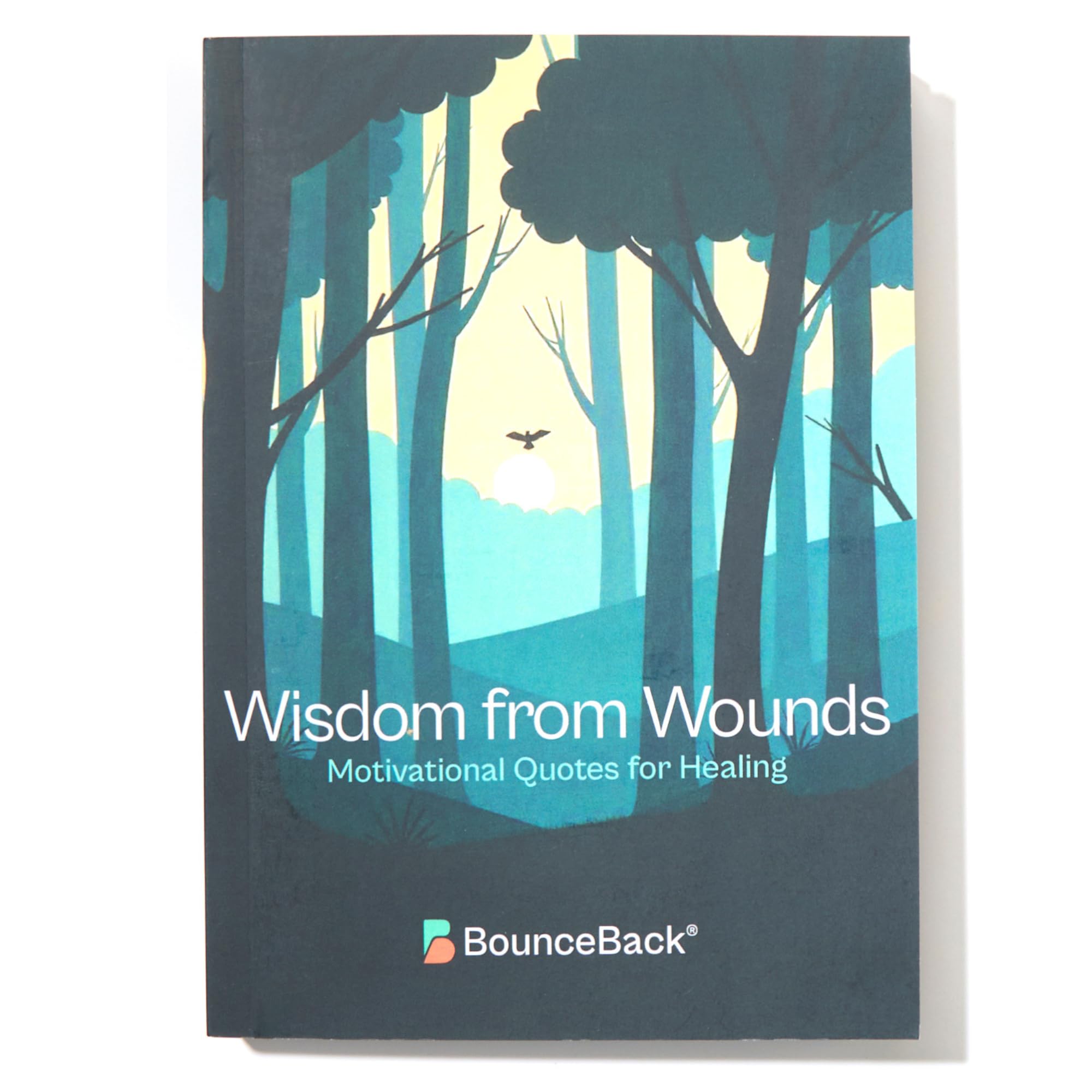 Daily Recovery Inspiration – Quotes &amp; Encouragement for Healing, Mindset, and Wellness. Perfect for Surgery, Injury, or just dealing with Life's Setbacks (Wisdom from Wounds - Motivational Quotes for Healing)