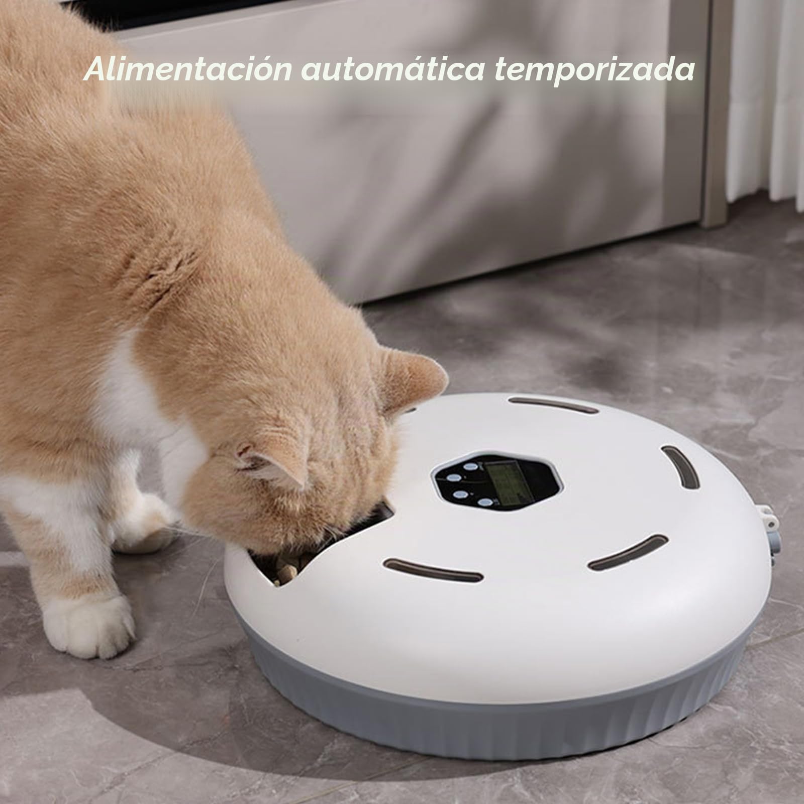 Comedero Automático para Gatos y Perros,Dos Paquetes de Hielo para Mantener Comida Fresca, 6 Comidas Frescas, Comedero Automatico Gato, para Comida Seca y Húmeda