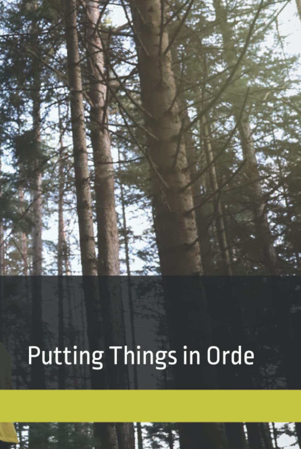 Putting things in order: 100 Page End of Life Planning Book : Shit You'll Need When I'm Gone: Makes Sure All Your Important Information in One Easy-to-Find Place