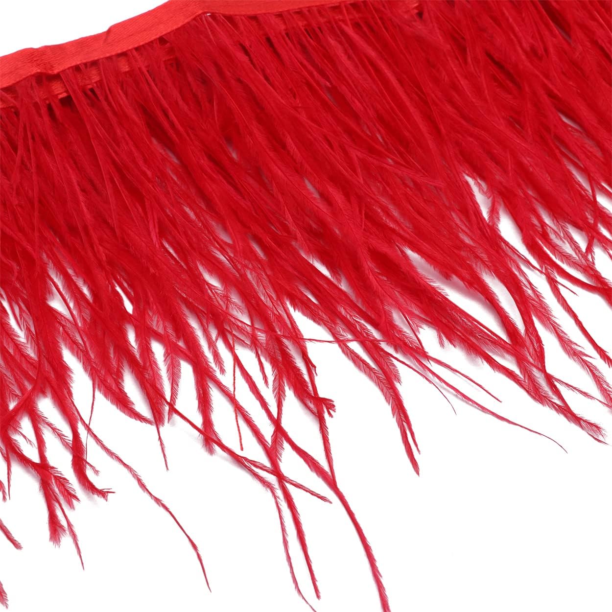 AMZTKDIY Ostrich Feathers Sewing Fringe Trim Ribbon for Crafts Clothes Accessories Latin Wedding Dress DIY 2 Yards 4-6inch Width (2 Yards, Red)