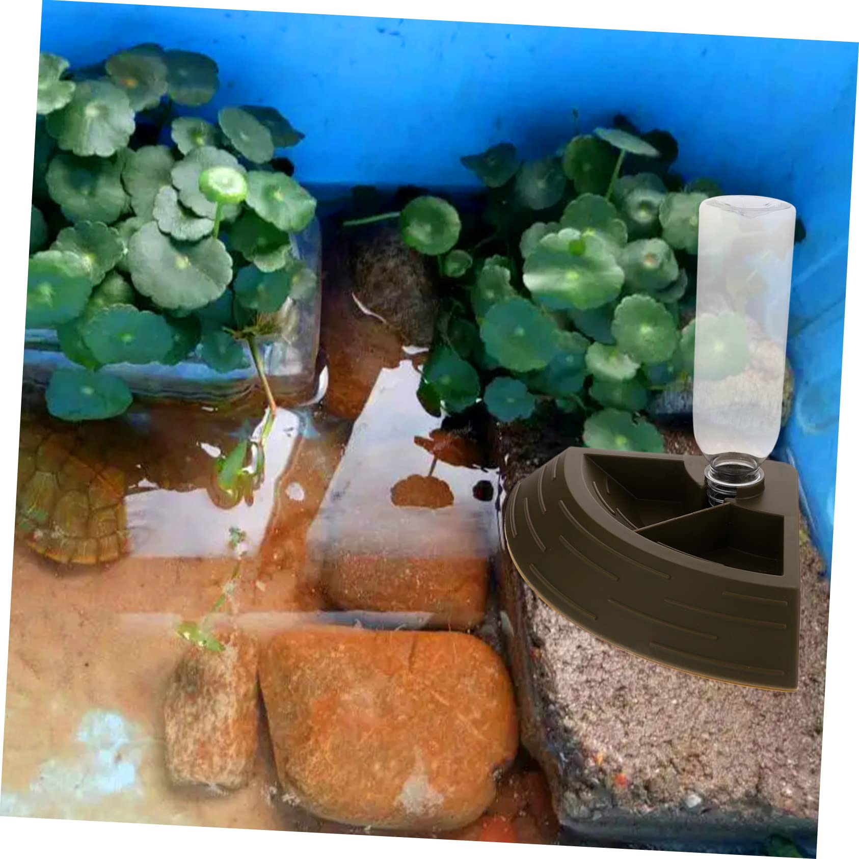 POPETPOP 3pezzi Ciotola per per Rettili e Tartarughe Design Facile per Domestici Colore per Nutrizione e Idratazione