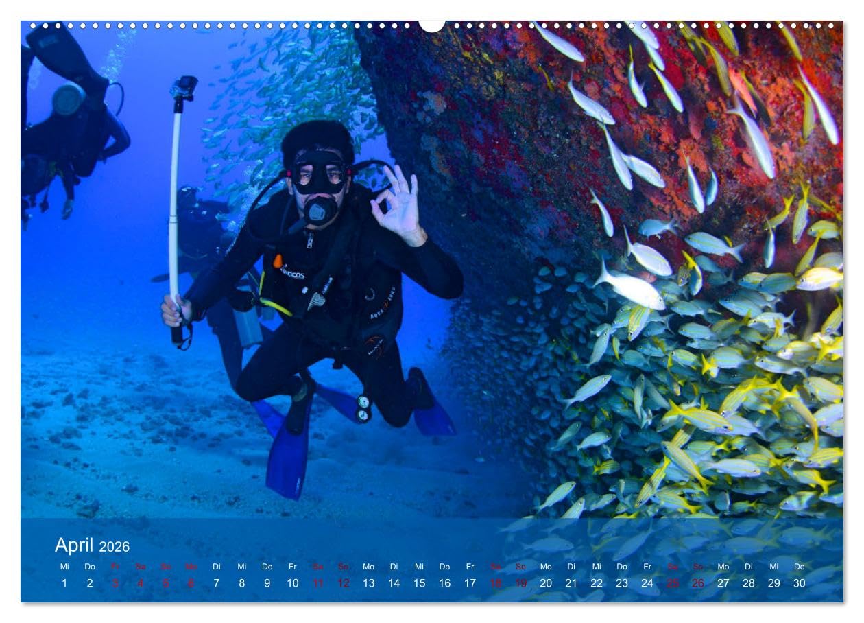 Erlebnis Tauchen - faszinierende Unterwasserwelt (hochwertiger Premium Wandkalender 2026 DIN A2 quer), Kunstdruck in Hochglanz: Spektakuläre Bilder ... Tauchrevieren der Erde (CALVENDO Sport)