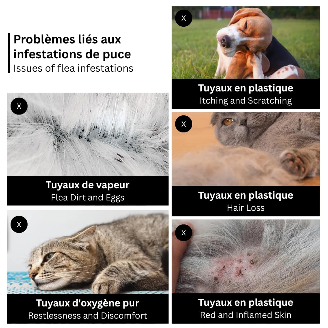 Peigne Anti-Puces avec Manche en Bois – Peigne Fin pour Chien et Chat – Élimine les Puces et les Œufs – Soin du Pelage et Bien-Être de l’Animal (16,7 cm)