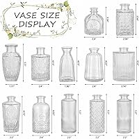 Vista 2 de RUCKAE Juego de 12 jarrones pequeños transparentes para brotes a granel, jarrones de vidrio para mini flores para centros de mesa, decoraciones
