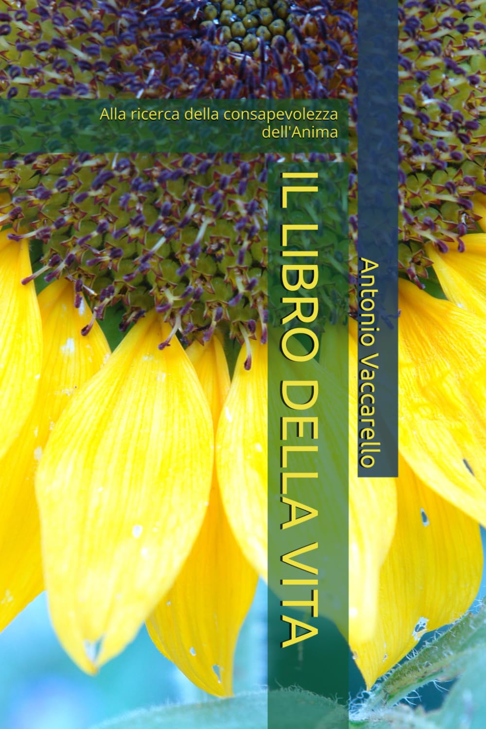 IL LIBRO DELLA VITA: Alla ricerca della consapevolezza dell'Anima (Cammino di Consapevolezza)