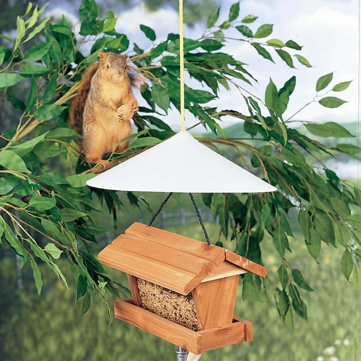 Fox Valley Traders Squirrel Baffle Set of 2