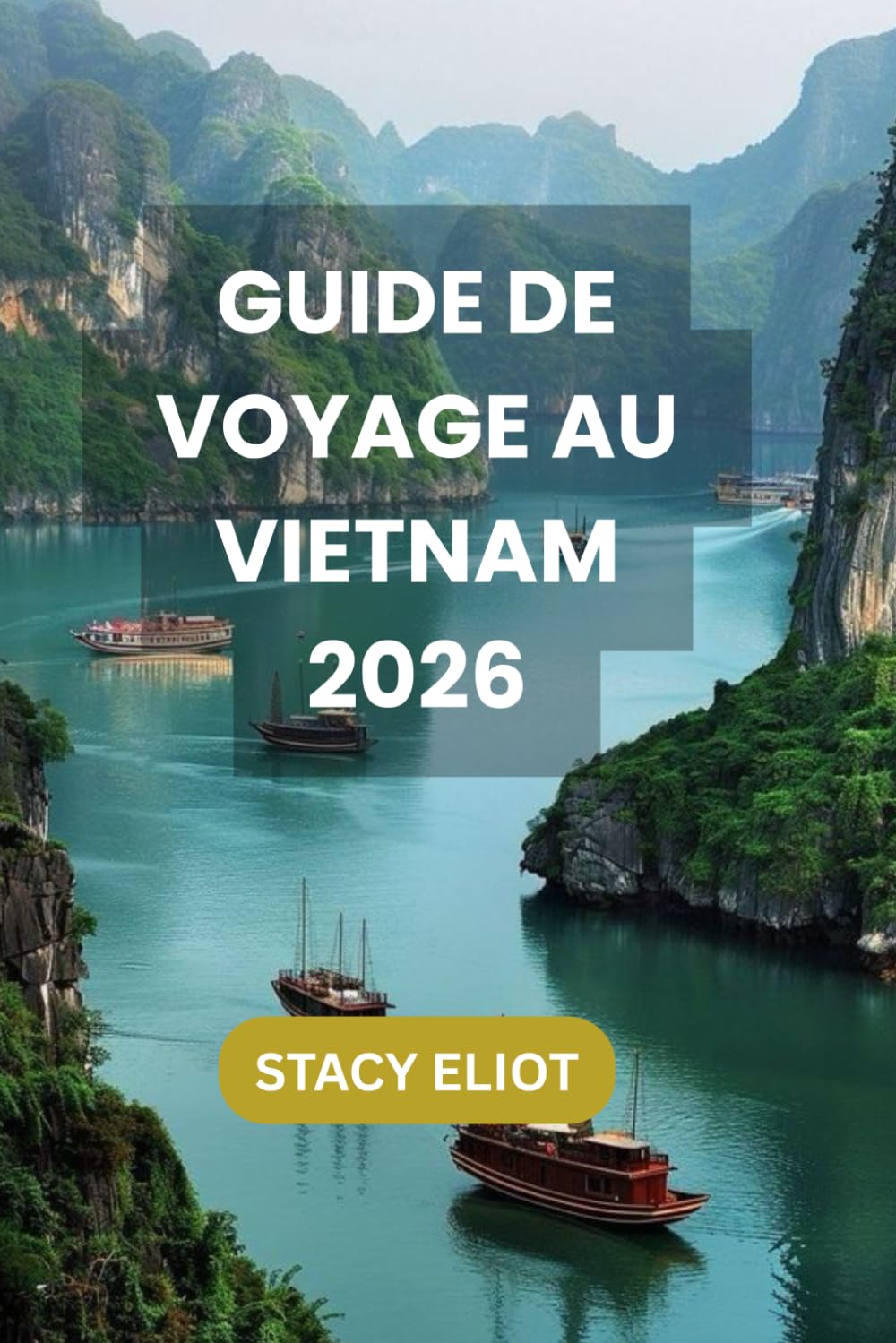 GUIDE DE VOYAGE AU VIETNAM 2026: Destinations incontournables, trésors cachés et meilleurs circuits (Da Lat, Hoi An, Ha Long et bien plus encore)