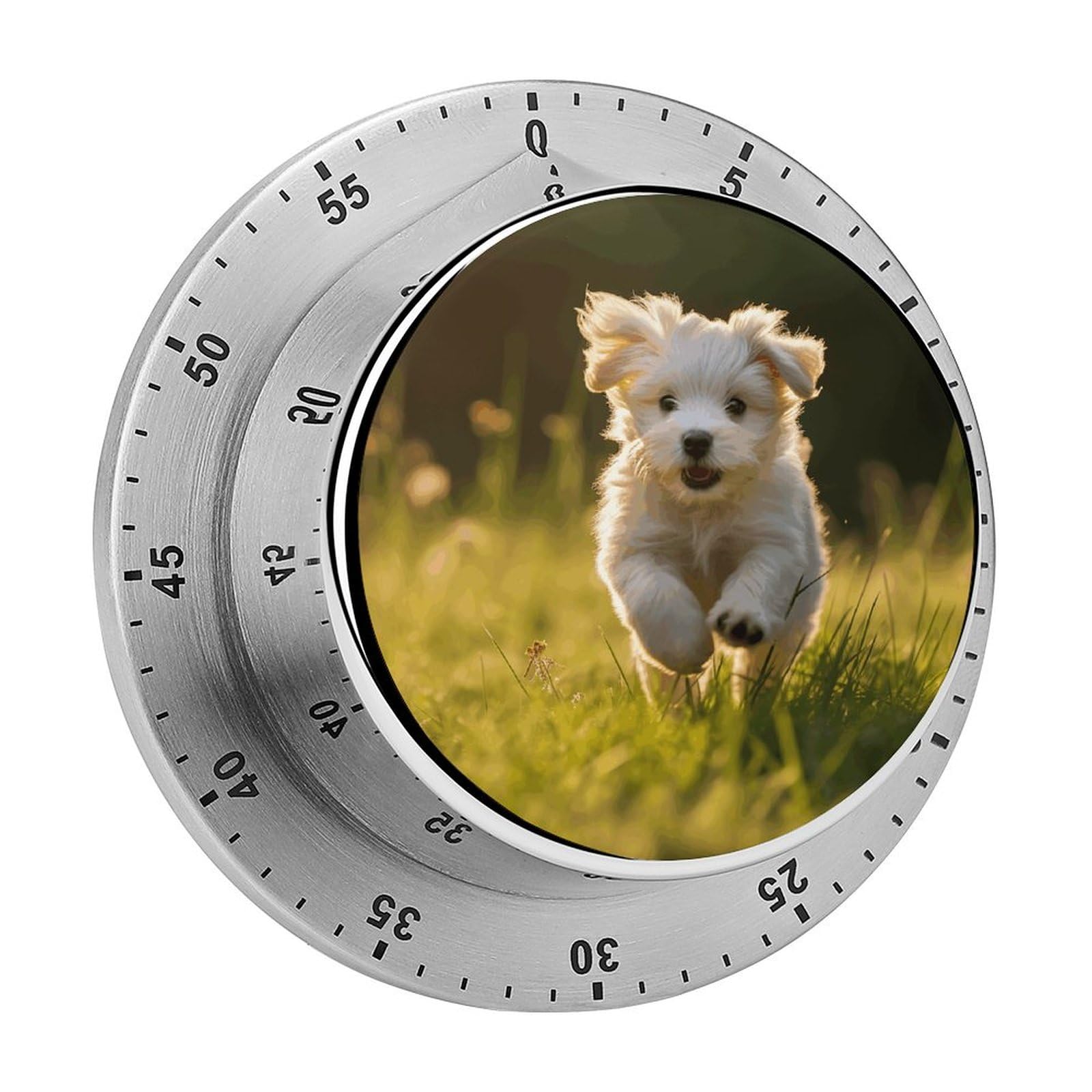 Puppy Crossing The Grass Printed Waterproof Christmas Timer with Loud Alarm Outdoor Timer for Cooking Exercise Baking