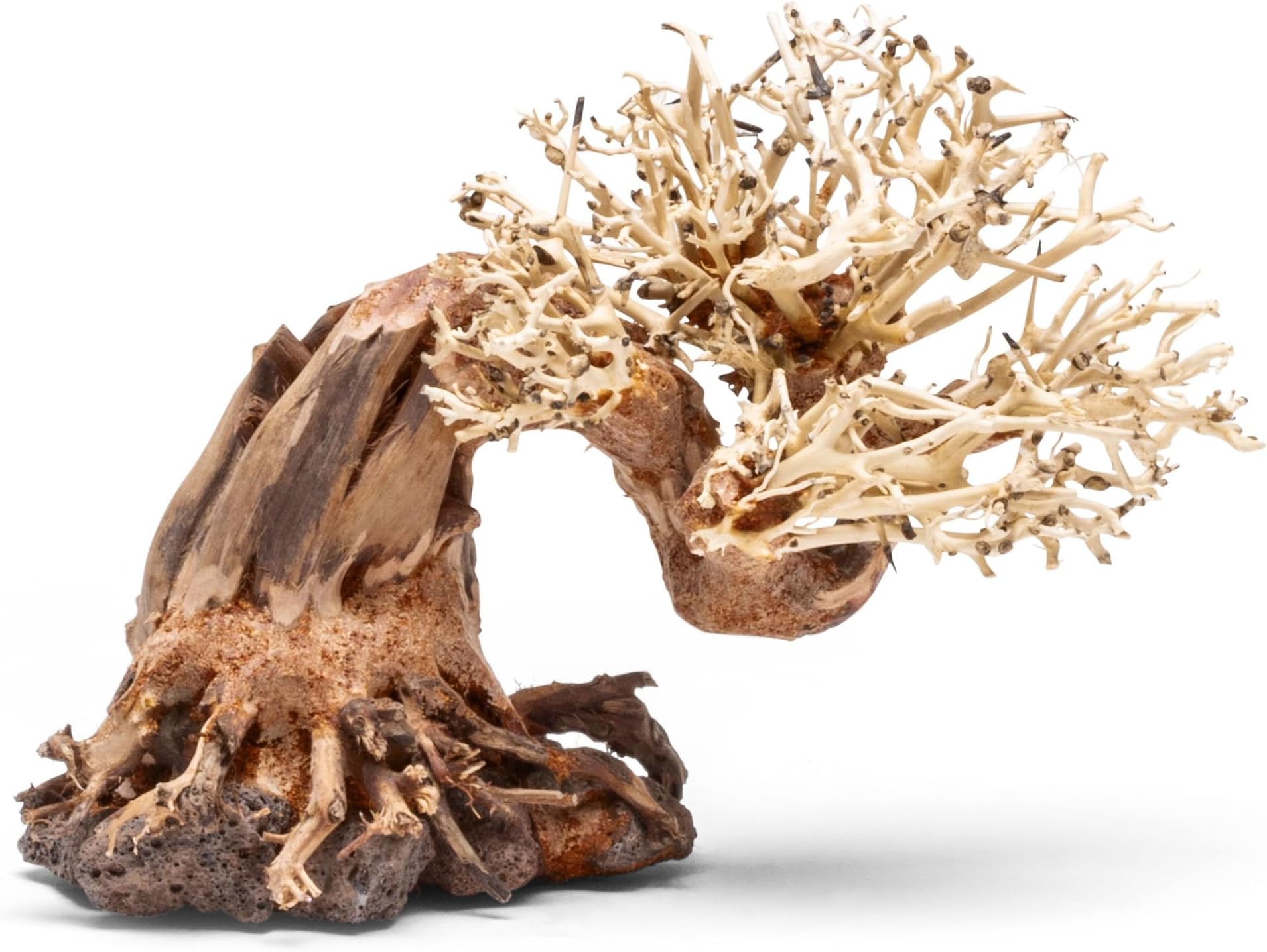 Ultum Nature Systems Bonsai - Handcrafted Hardscape Driftwood for Aquarium, Terrarium, Vivarium, Natural Aquascape Hardscape Decorations, Aquascaping Hardscape for Live Aquatic Plants - 013, Large