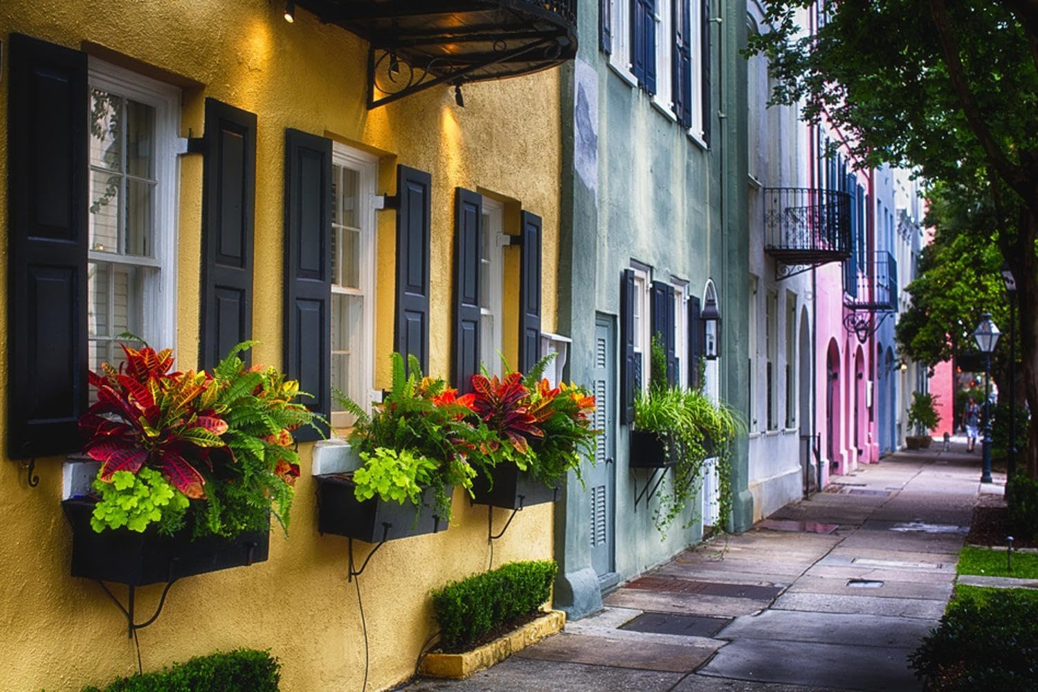 ART.COM Wall Photographic Print Rainbow Row II, Charleston South Carolina by George Oze, 24" x 16"
