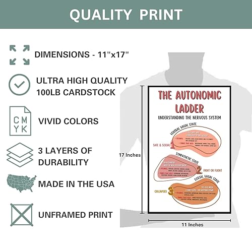 Miniatura 7 de Autonomic Ladder Poster, Boho Mental Health Posters, Counseling Office Printed Wall Decor, Classroom Wall Art - 11x17 in. LAMINATED - No Frame