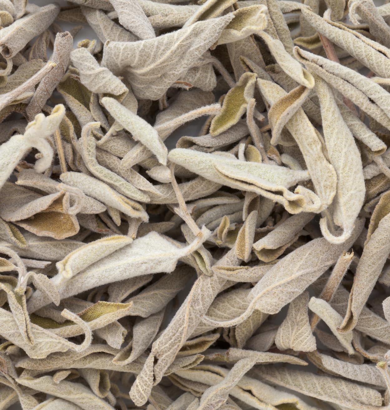 500g Foglie di Salvia Intere - Salvia dell'Altas - Tisana di Salvia Officinale - Aroma & Gusto Intenso - 100% Naturale, Puro e Senza Additivi | Qualità Superiore - TazarinLtd