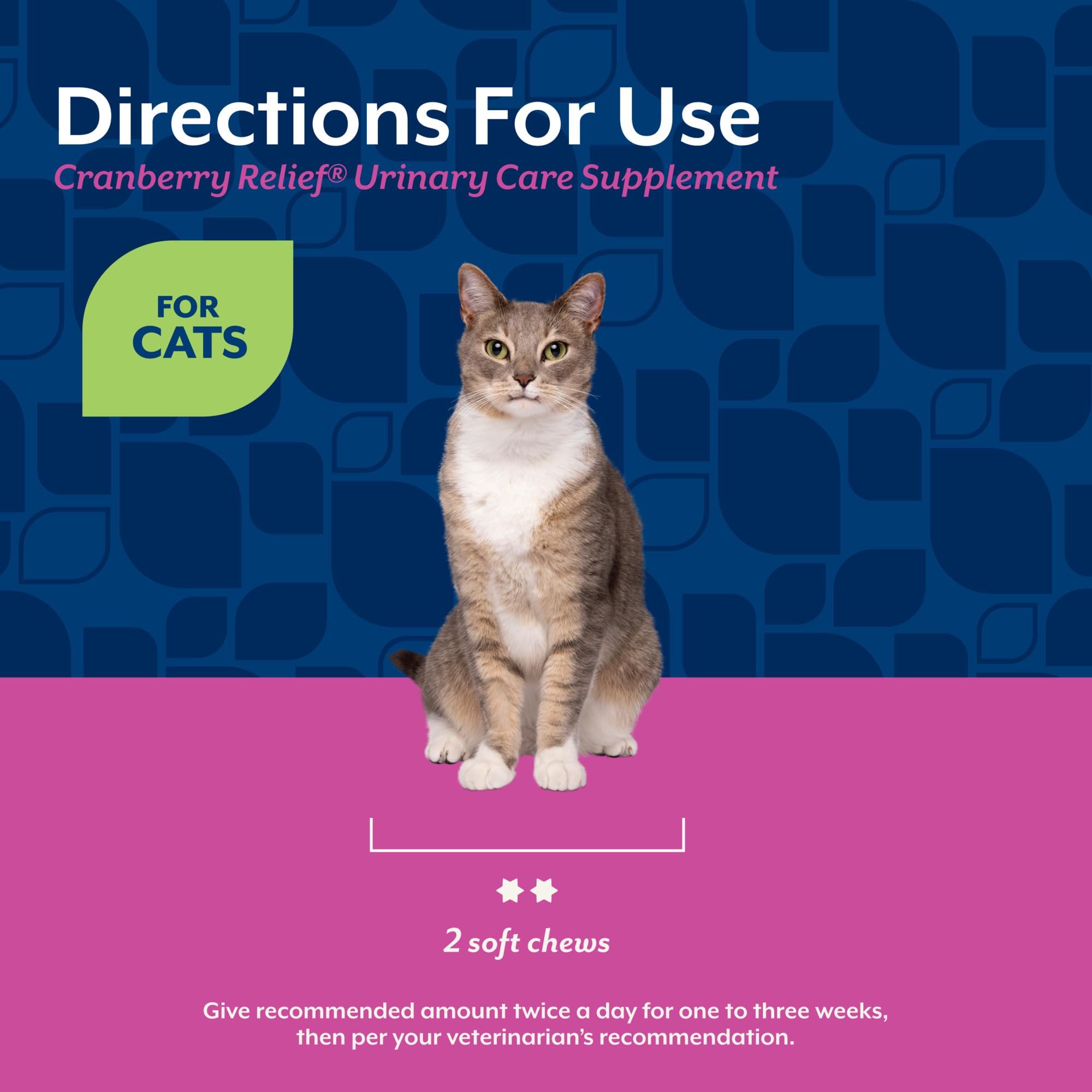 NaturVet Cranberry Relief and Echinacea Cat Soft Chew Urinary Tract 60 CT